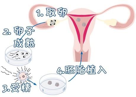 环境